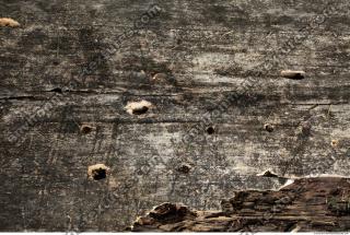 photo texture of wood bare